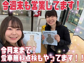 今週末もまだまだ営業しております！